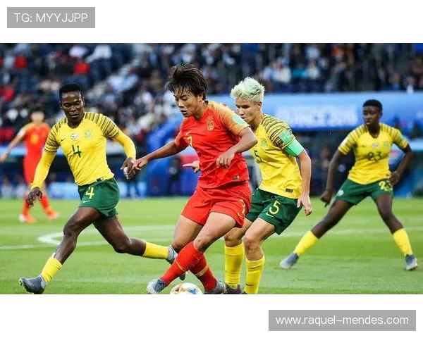 中国队进攻套路近期表现稳健，战术执行与配合效率持续提升