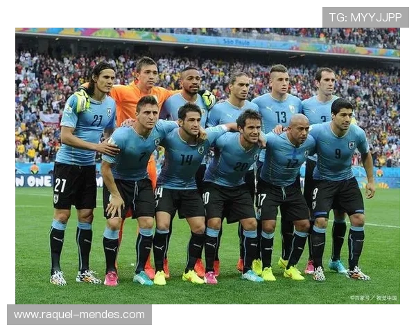 乌拉圭队控球能力 乌拉圭队控球能力